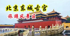 女老师嗯啊嗯中国北京-东城古宫旅游风景区